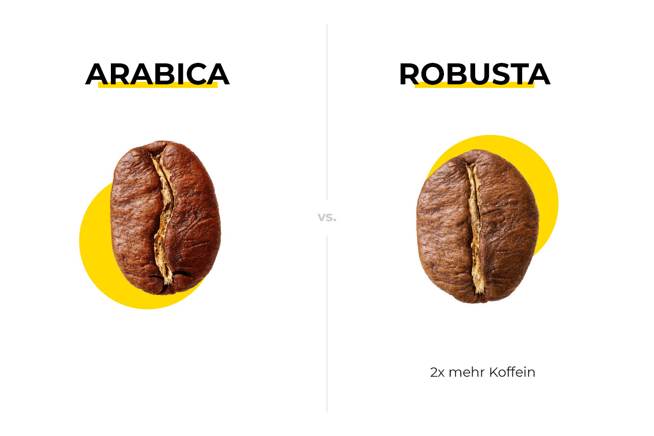 Arabica und Robusta