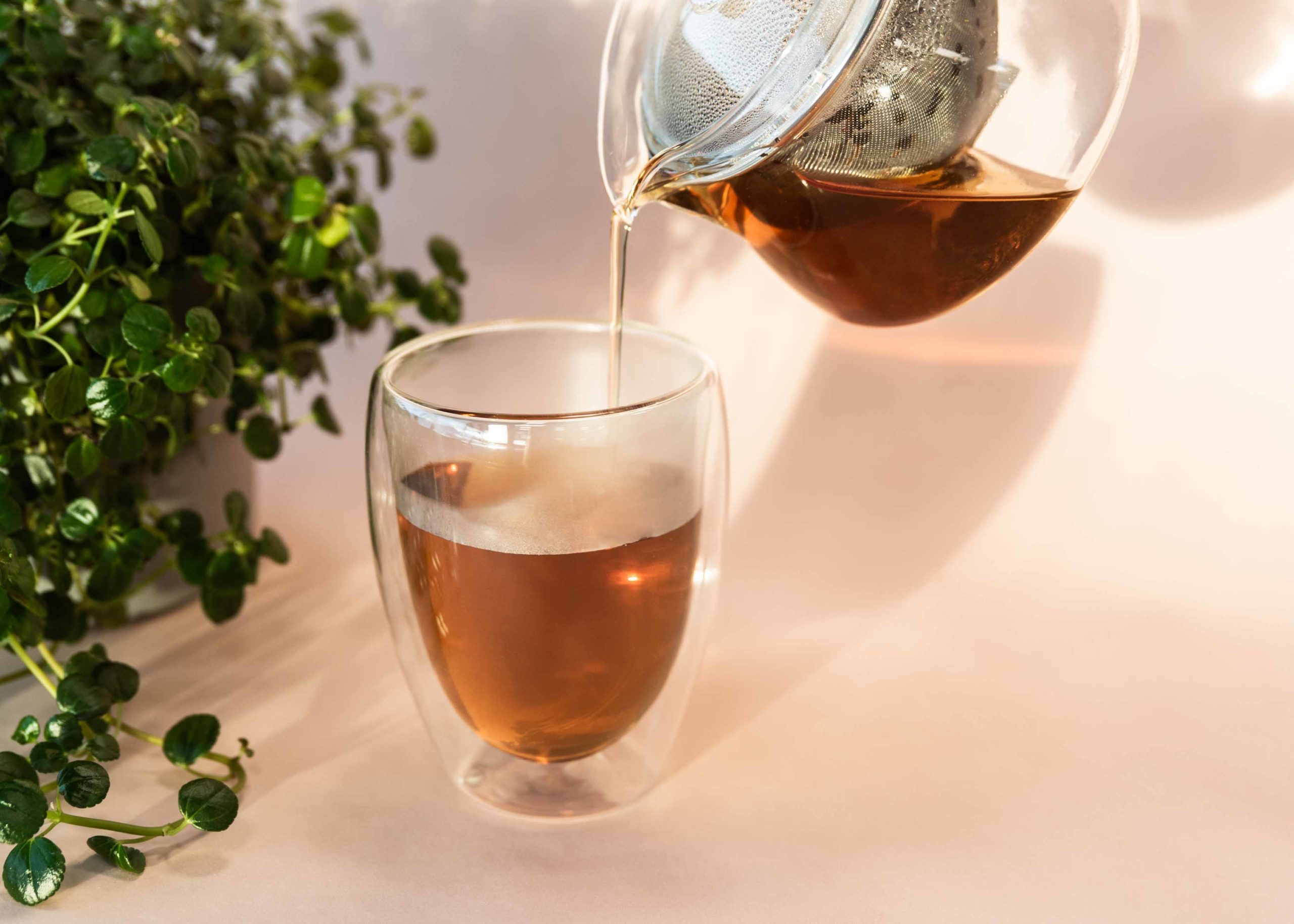 Tee: ein Guide für Sorten und Zubereitung - Coffee Friend